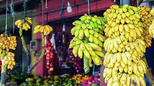 <br />
Цены на бананы в России могут вырасти на 10-20%<br />
