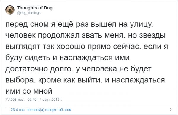 <br />
							Мысли собаки: странный и милый аккаунт в Твиттере (16 фото)
<p>					